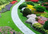 Landscaping Landscaping Solutions